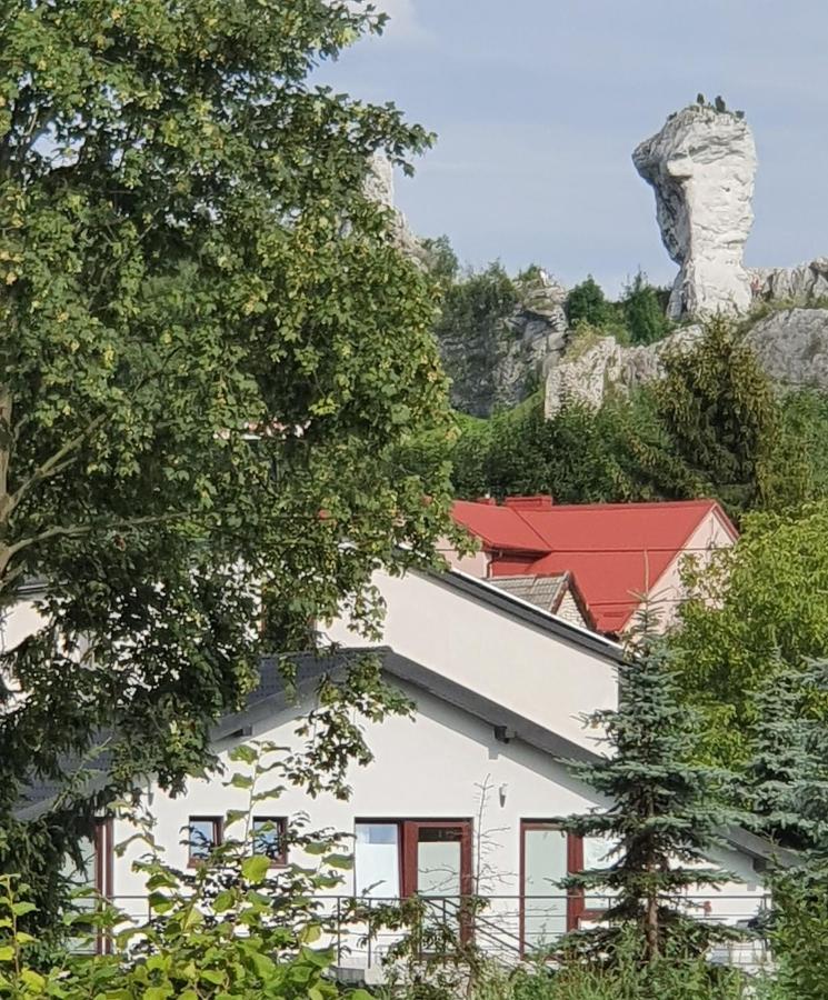 Pokoje Przy Zamku Podzamcze  外观 照片