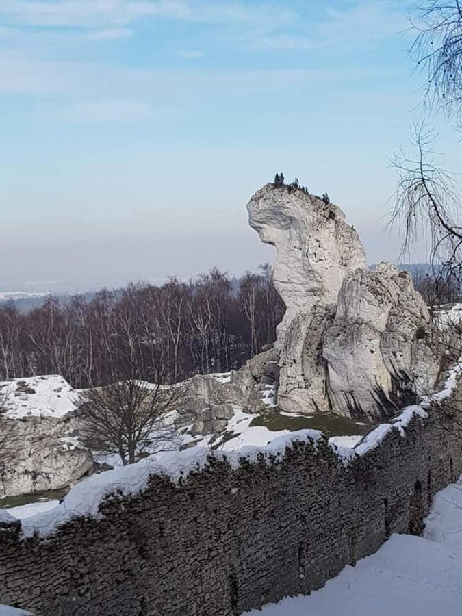Pokoje Przy Zamku Podzamcze  外观 照片