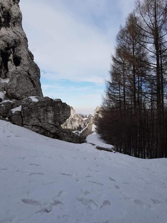 Pokoje Przy Zamku Podzamcze  外观 照片